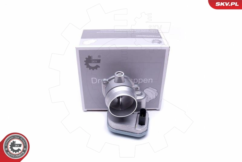 Throttle Body